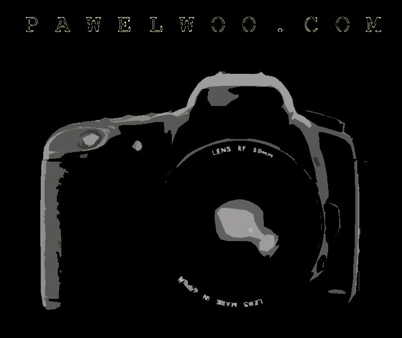 PawelWoo.com — Logo galerii fotograficznej